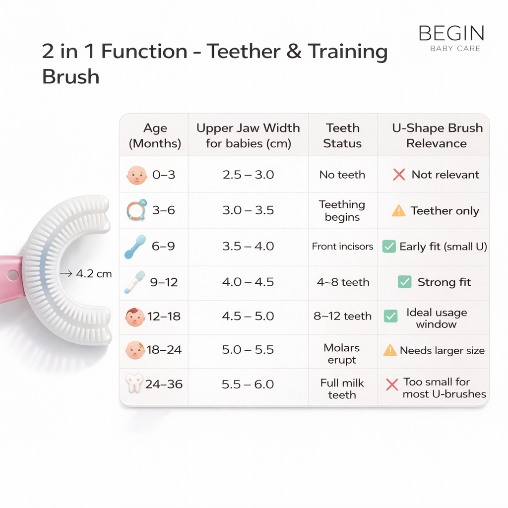 PInk Silicone 2-in-1 Teether & Training Toothbrush | Soft Silicone Pink Brush & Teether for Baby’s First Teeth | BPA-Free & Safe for 4+ Months by Begin Baby Care