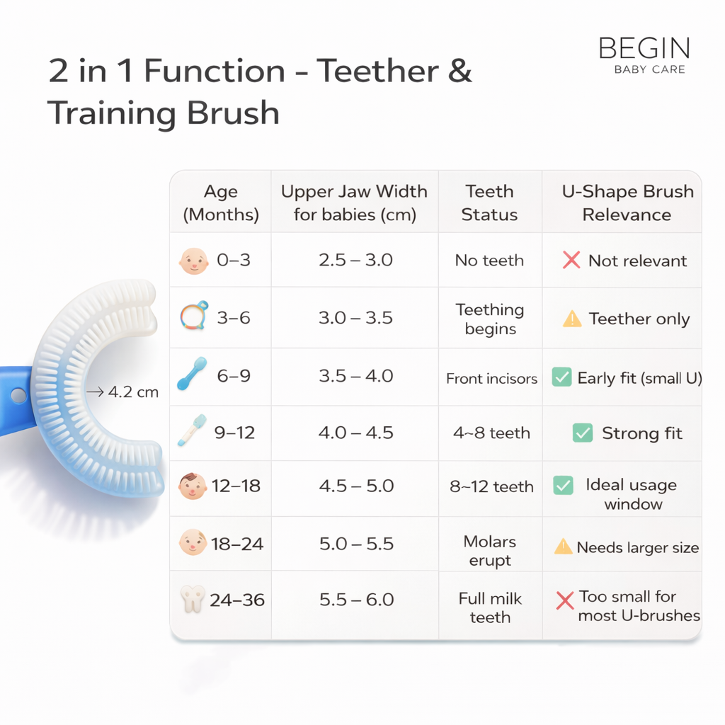 Blue Silicone 2-in-1 Teether & Training Toothbrush | Soft Silicone Brush for Baby’s First Teeth | BPA-Free & Safe for 4+ Months by Begin Baby Care